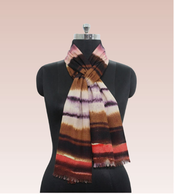 Winter Collection